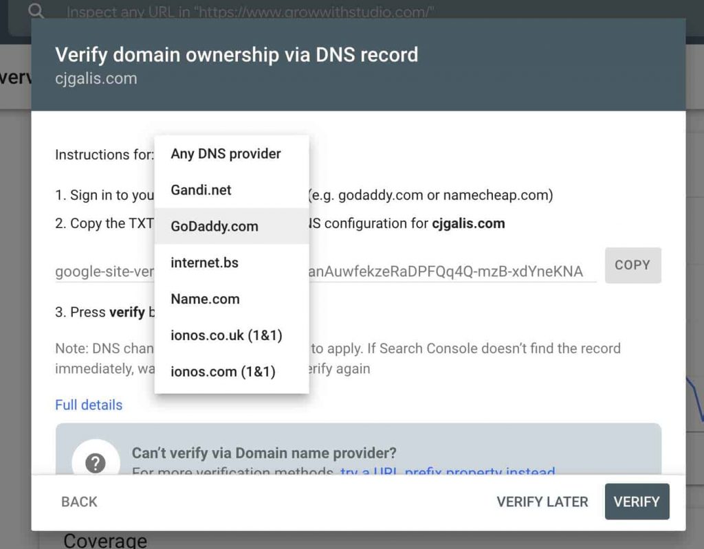 dns provider options in root domain verification method