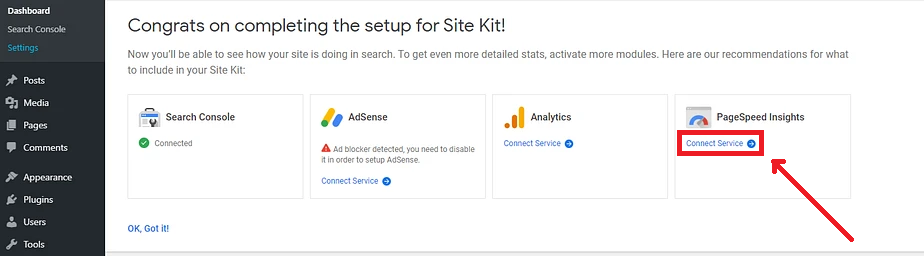 Connecting pagespeed insights in site kit plugin